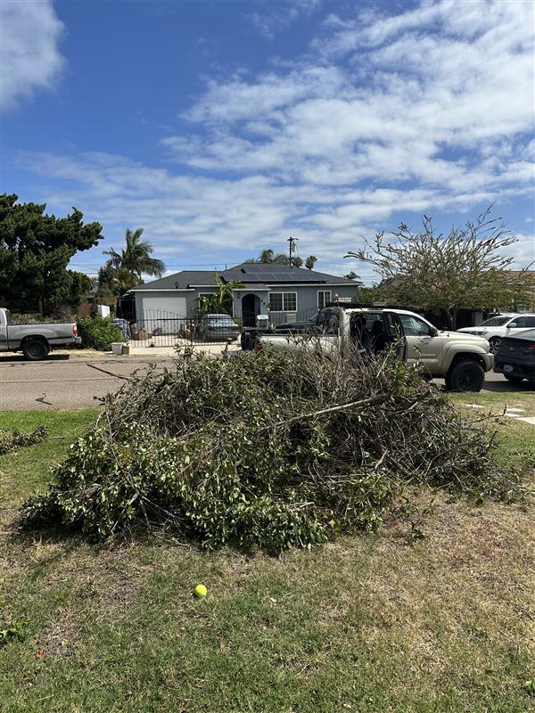 Before — Green waste pile