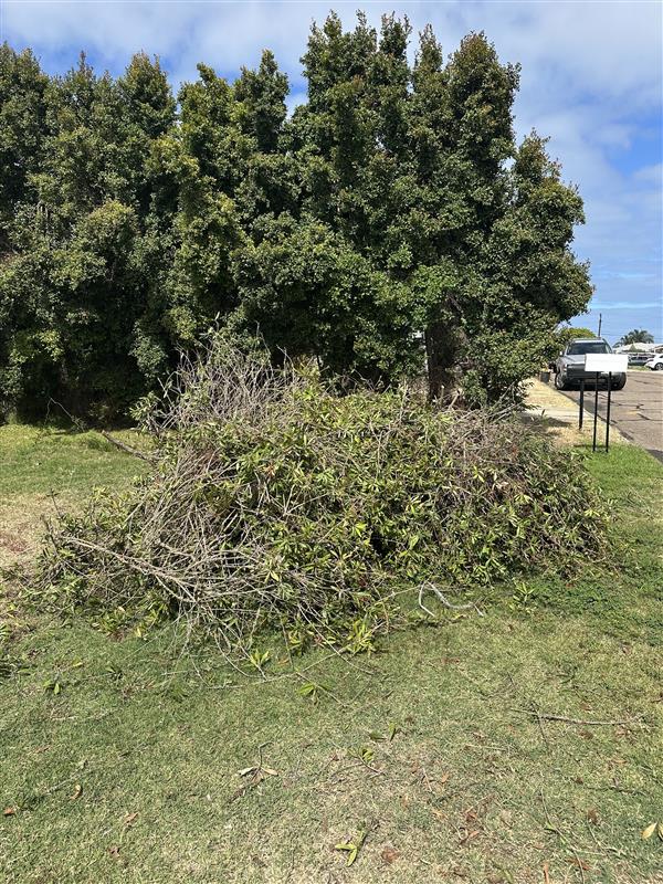 Before — Full scope of debris